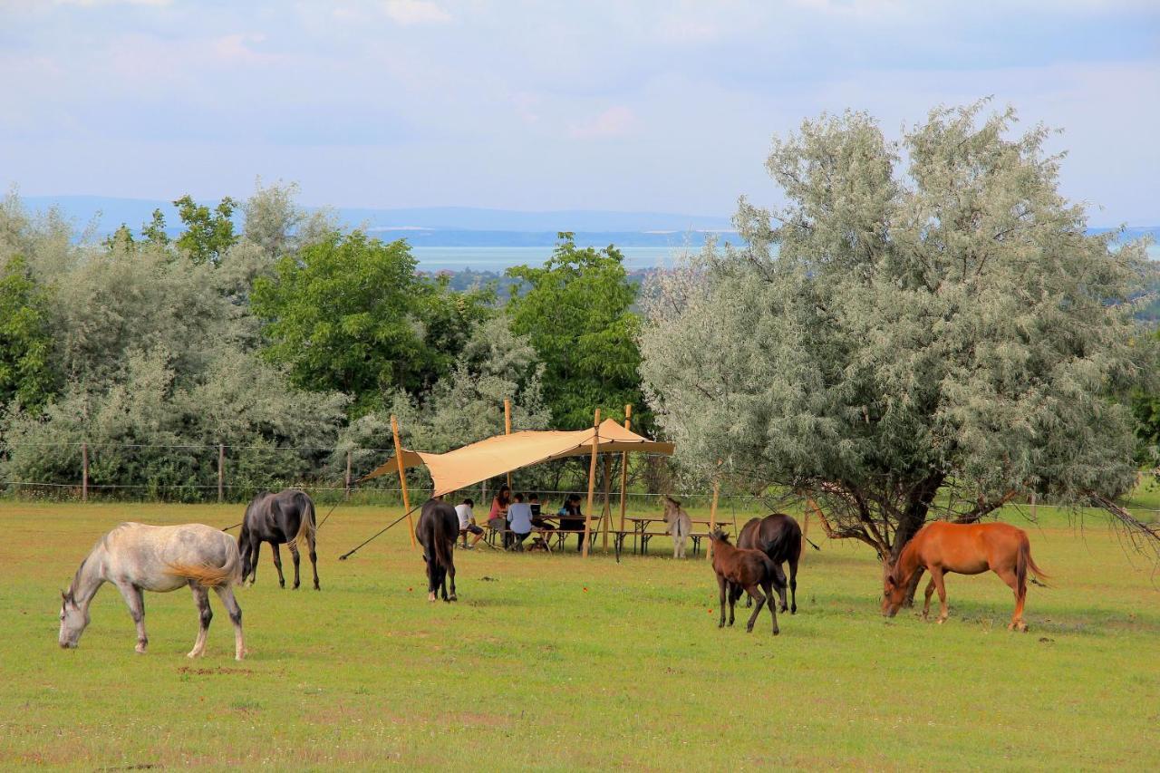 Dharma Horse Shelter Bungalows & Farmping Siófok Exterior foto
